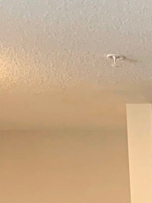 Photos Of La Provence Apartments In Downtown Sacramento Ca